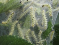 Информация для населения